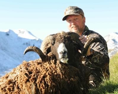 Arapawa Ram Hunting